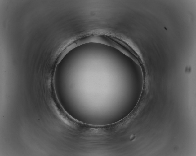 X0000089910057200707061007
