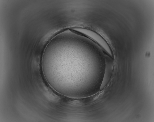 X0000089910058200707061007