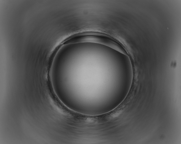 X0000089910060200707061007