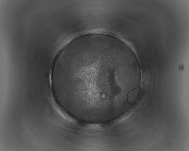 X0000089910061200707061007