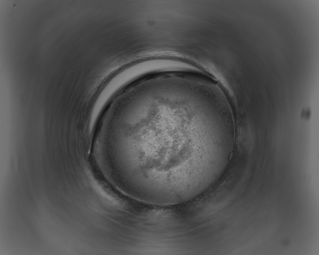 X0000089910063200707061007