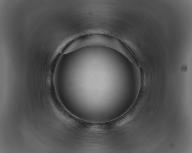 X0000089910064200707061007
