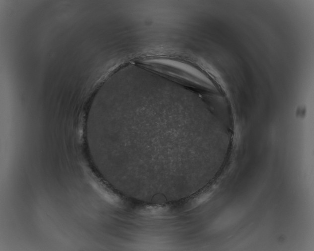 X0000089910065200707061007