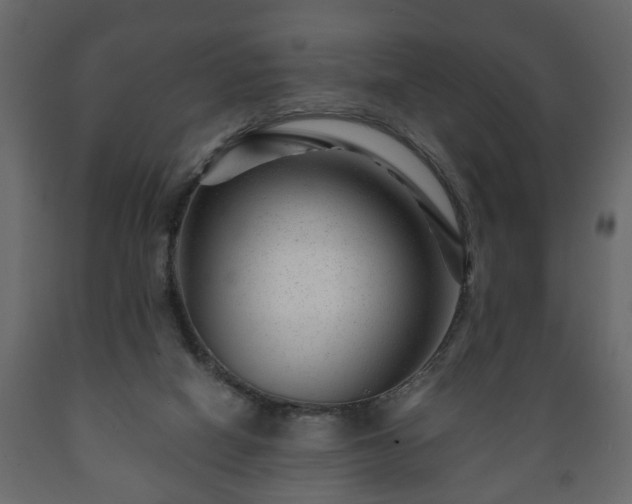 X0000089910066200707061007