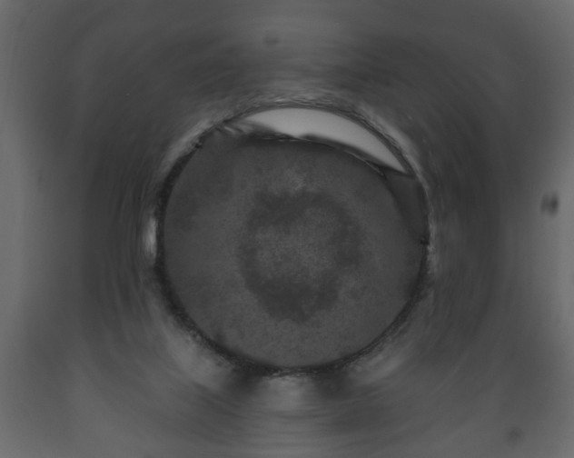 X0000089910067200707061007