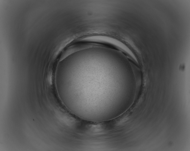 X0000089910068200707061007