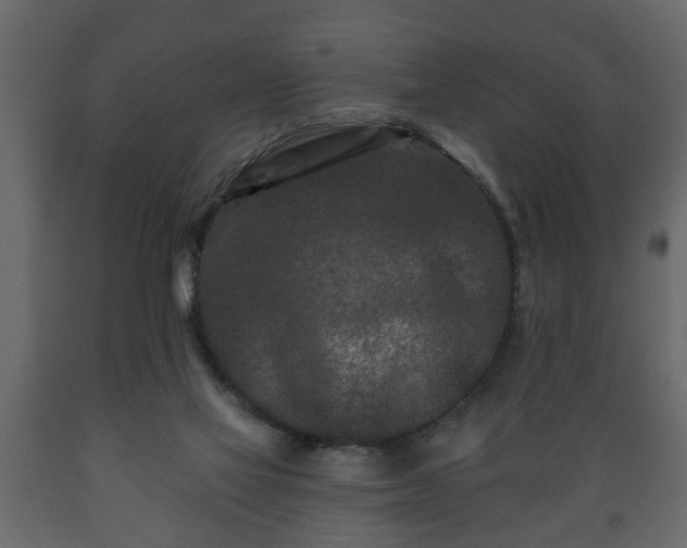 X0000089910069200707061007