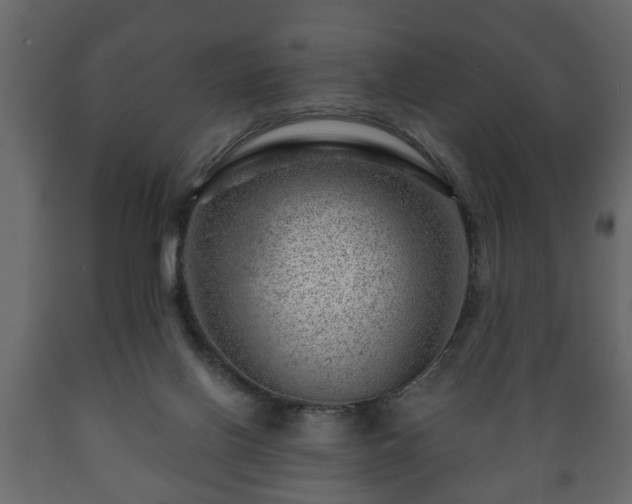 X0000089910070200707061007