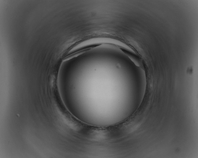 X0000089910071200707061007