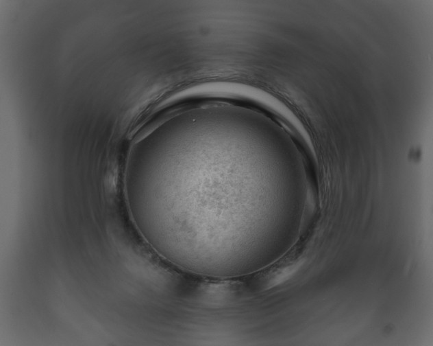 X0000089910072200707061007