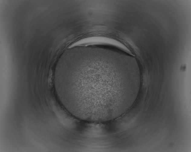 X0000089910073200707061007