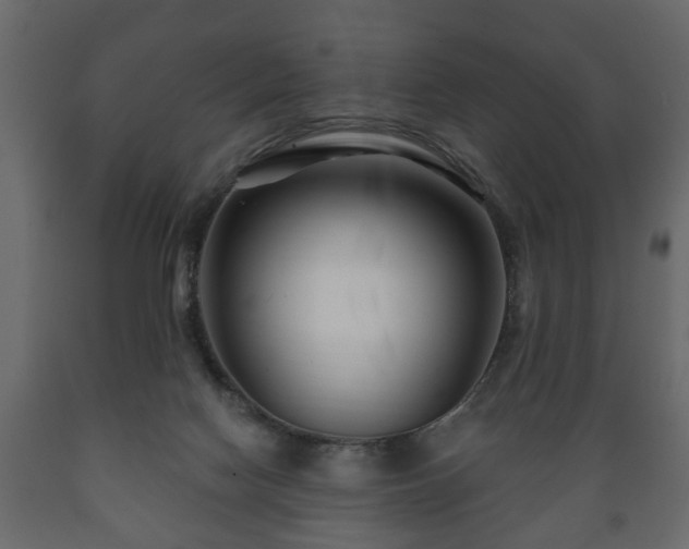 X0000089910074200707061007
