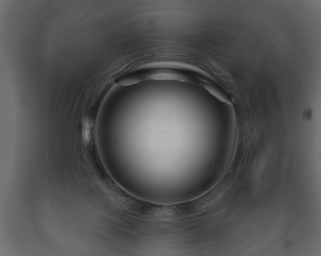 X0000089910075200707061007