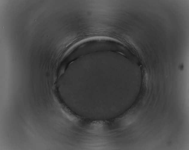 X0000089910076200707061007