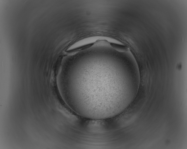X0000089910077200707061007