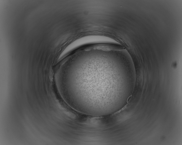 X0000089910078200707061007