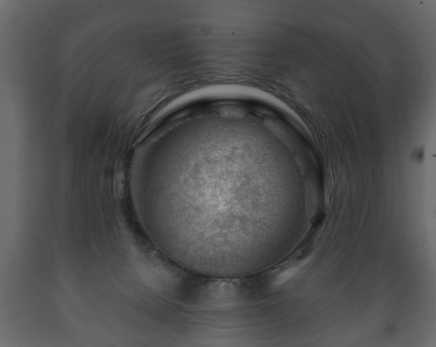 X0000089910080200707061007