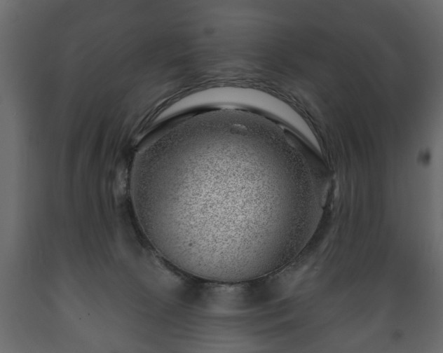 X0000089910081200707061007