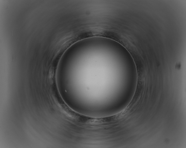 X0000089910082200707061007
