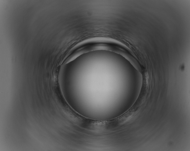 X0000089910084200707061007