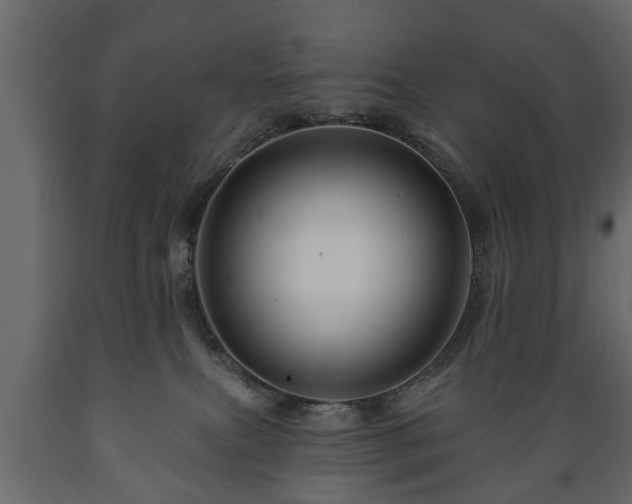 X0000089910087200707061007