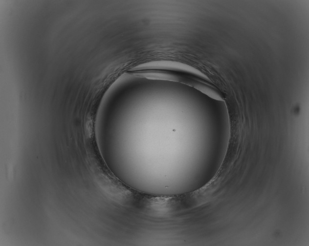X0000089910090200707061008