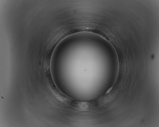 X0000089910091200707061008