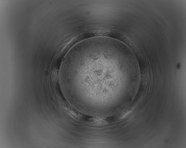 X0000089910093200707061008