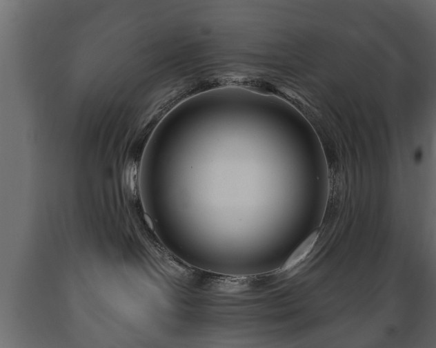 X0000089910094200707061008