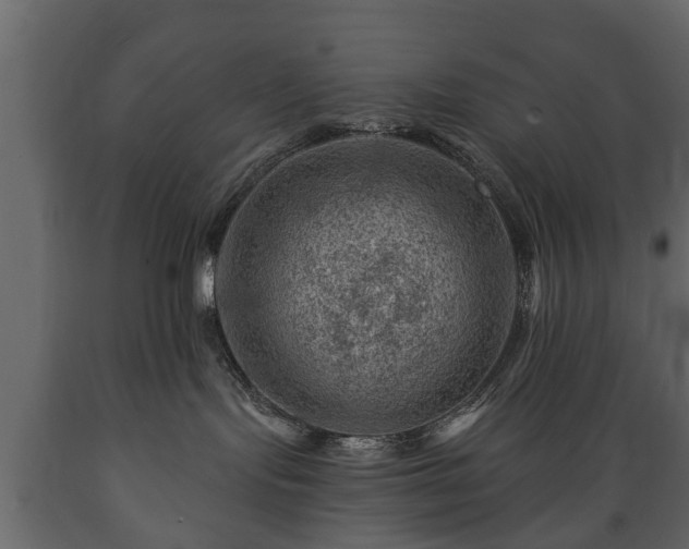 X0000089910095200707061008