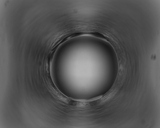 X0000089910096200707061008