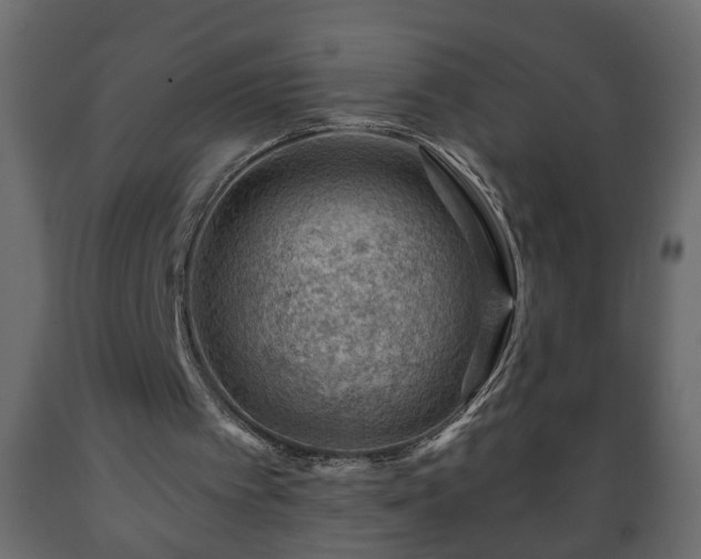 X0000089910097200707061007
