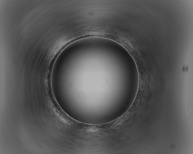 X0000089910098200707061007