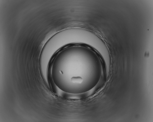 X0000089910099200707061007