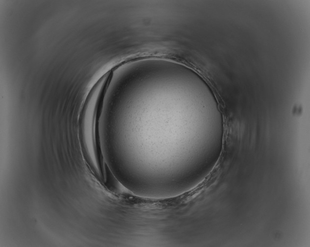 X0000089910100200707061007