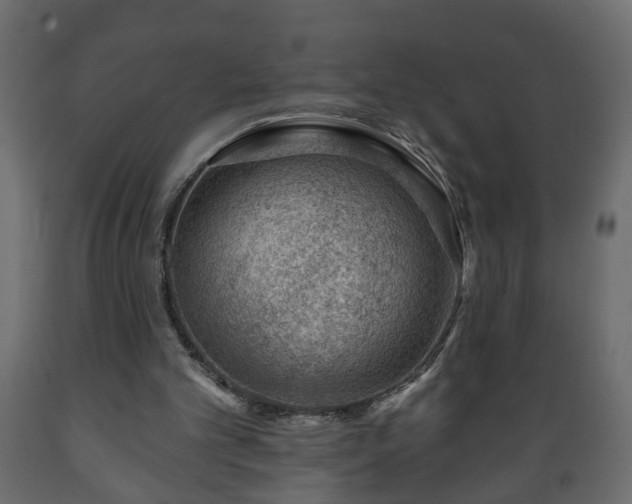 X0000089910101200707061007
