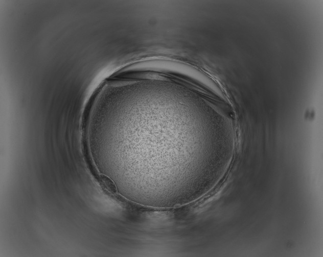X0000089910102200707061007