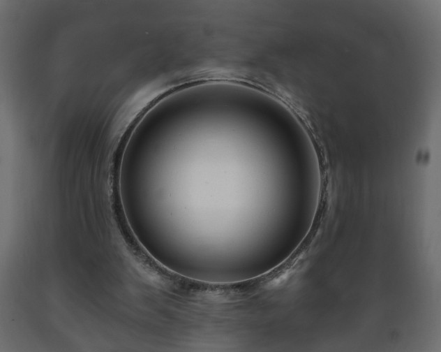 X0000089910103200707061007