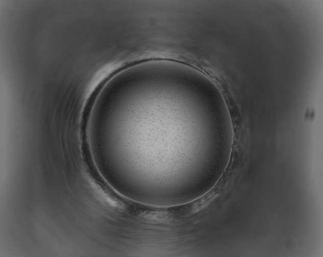 X0000089910104200707061007