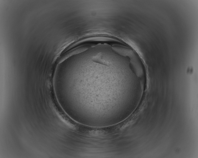 X0000089910105200707061007