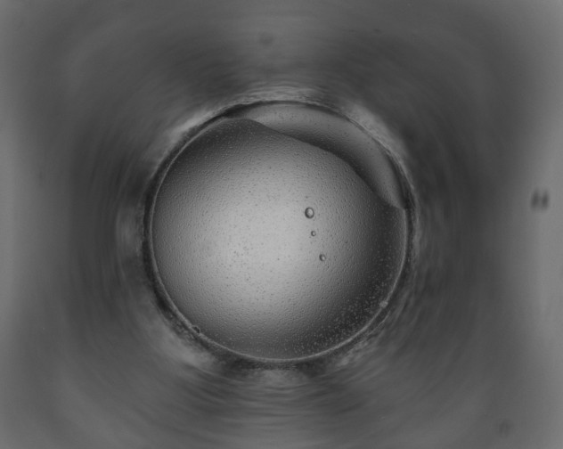 X0000089910107200707061007
