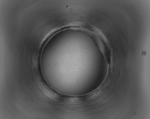 X0000089910108200707061007