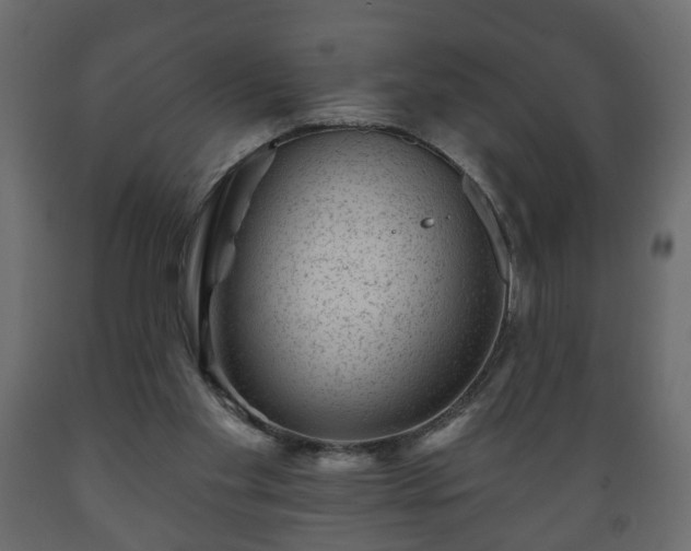 X0000089910109200707061007