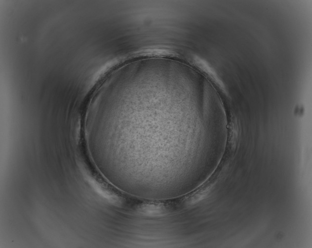 X0000089910110200707061007