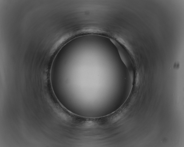 X0000089910111200707061007