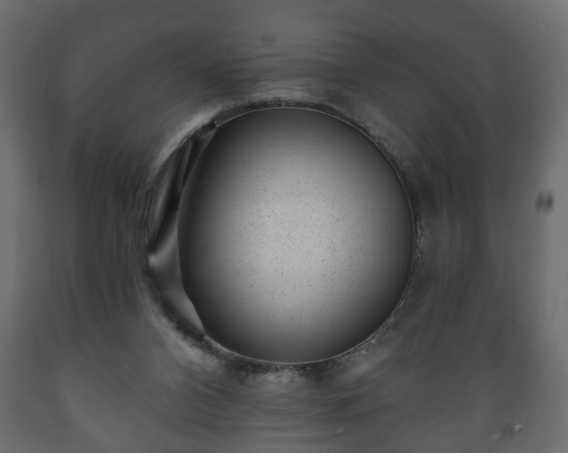 X0000089910112200707061007
