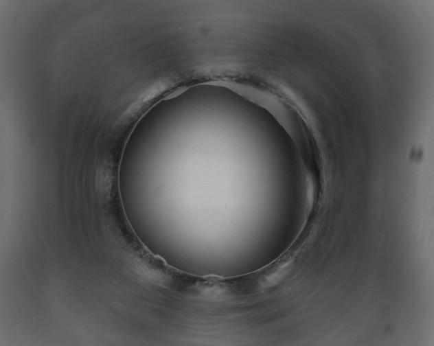 X0000089910113200707061007
