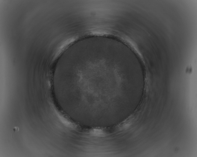X0000089910114200707061007