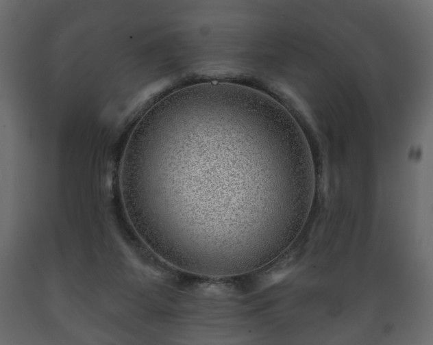 X0000089910115200707061007