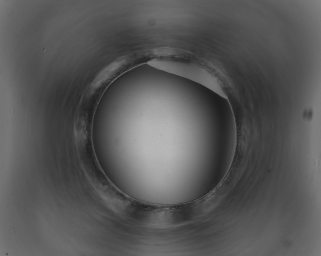 X0000089910116200707061007